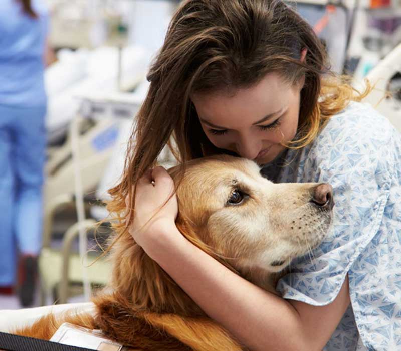 Kentucky Counseling Center | Embracing Healing Paws: Animal Assisted Therapy for Addiction Treatment