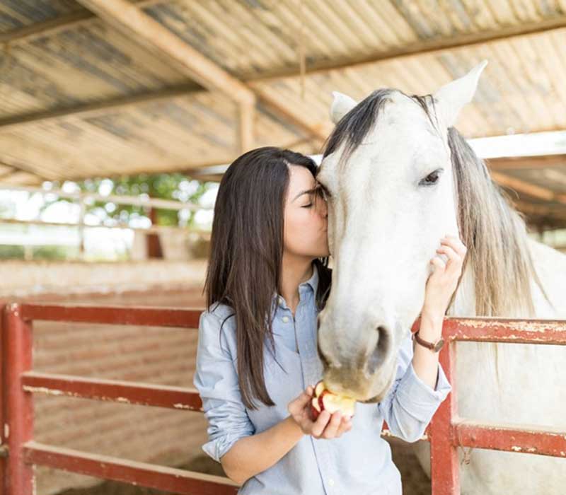 Kentucky Counseling Center | Embracing Healing Paws: Animal Assisted Therapy for Addiction Treatment