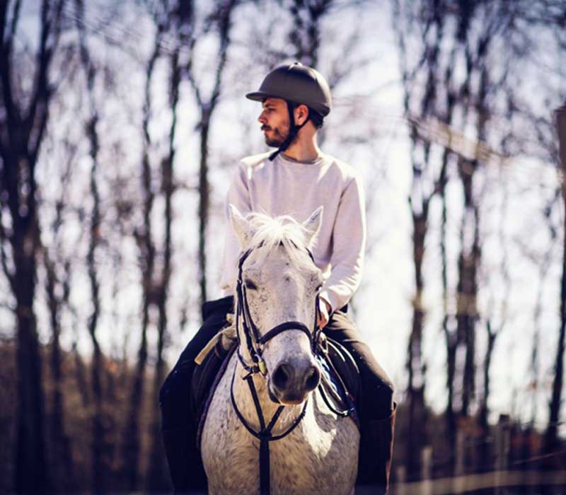 Kentucky Counseling Center | Embracing Healing Paws: Animal Assisted Therapy for Addiction Treatment