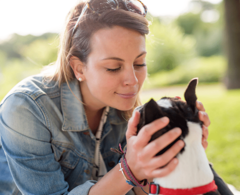 Kentucky Counseling Center | Can Caring for a Pet Help Reduce Burnout? What the Research Says