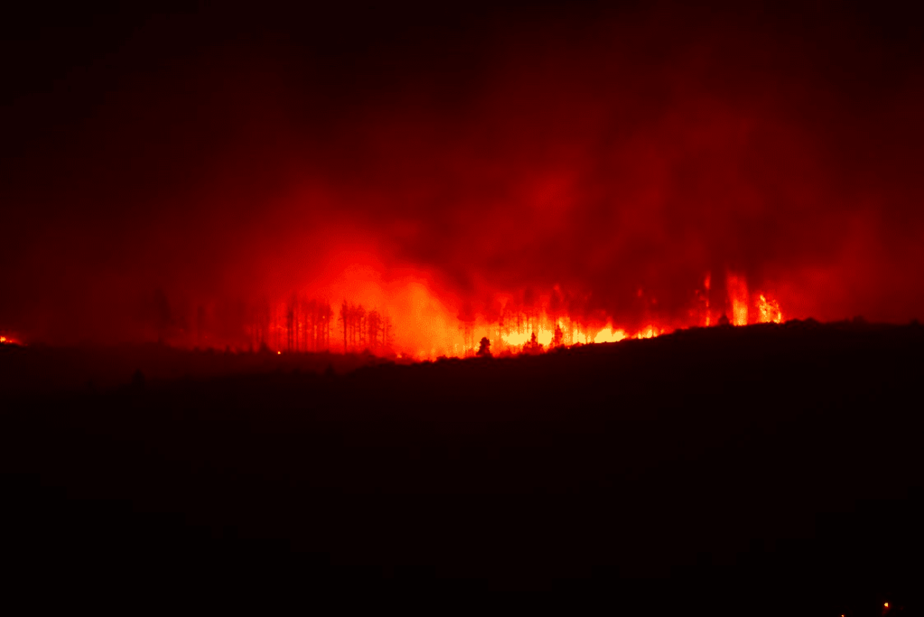 Kentucky Counseling Center | How to Cope with Anxiety and PTSD After Wildfire Home Loss Kentucky Counseling Center | How to Cope with Anxiety and PTSD After Wildfire Home Loss